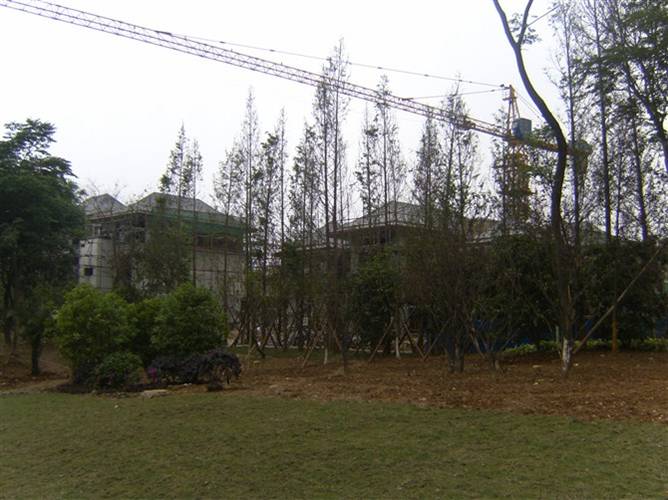 1520926275890757.jpg 36.jpg