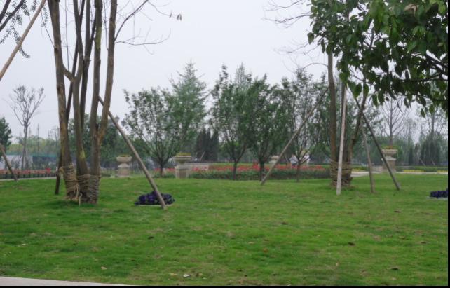 1520927447139156.jpg 60.jpg